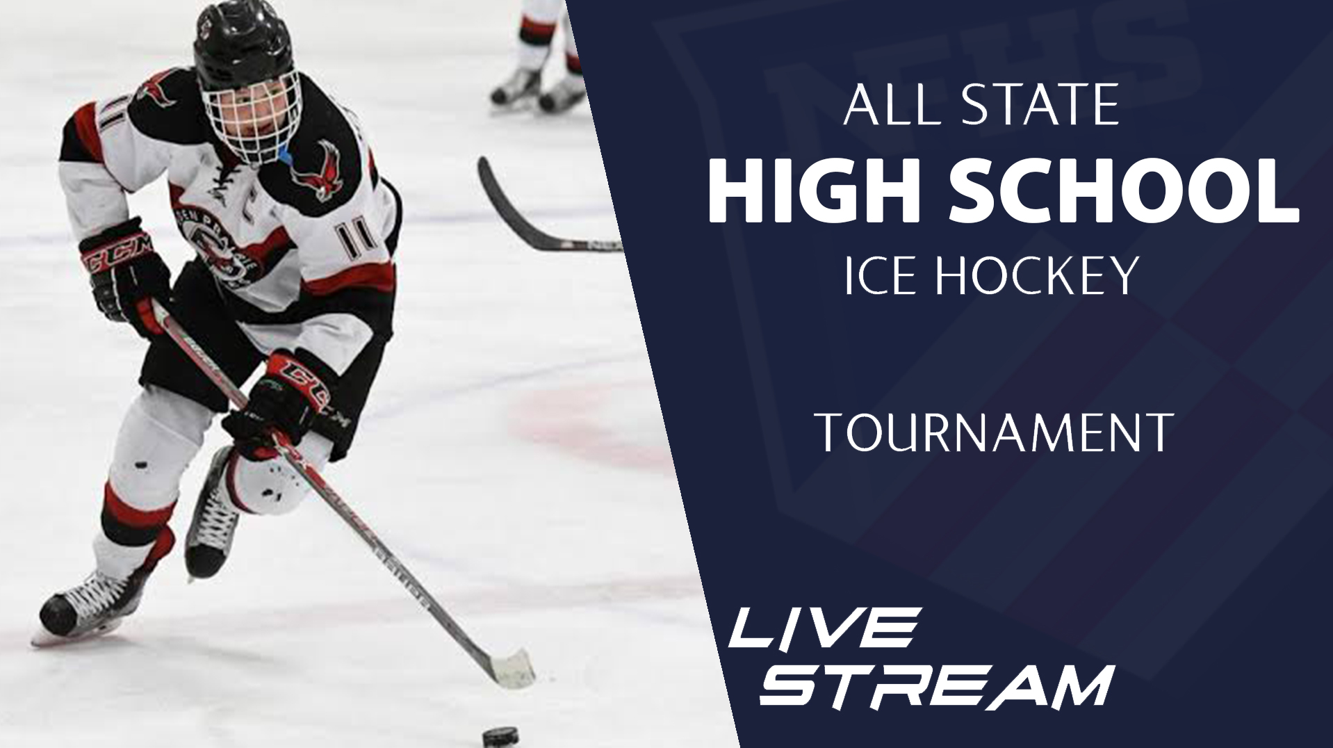 HIGH SCHOOL GIRLS ICE HOCKEY